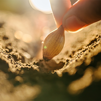 Poľnohospodárstvo a lesníctvo